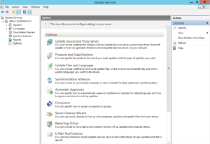 Voor zakelijk gebruik kunnen systeembeheerders met een eigen WSUS-server updates eerst testen en daarna uitrollen naar de andere computers.