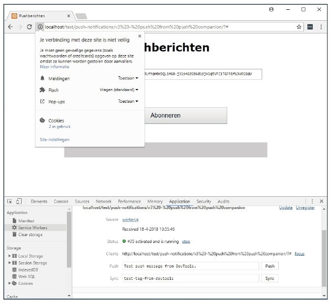 push-berichten browser notificatie ServiceWorker Progressive Web App JavaScript push.js bericht melding Push Companion ontwikkelaar lokaal