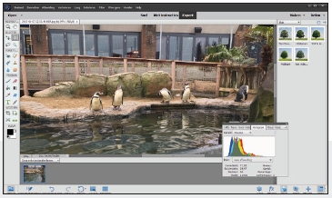 photoshop alternatief Photoshop Elements beeldbewerking fotobewerking
