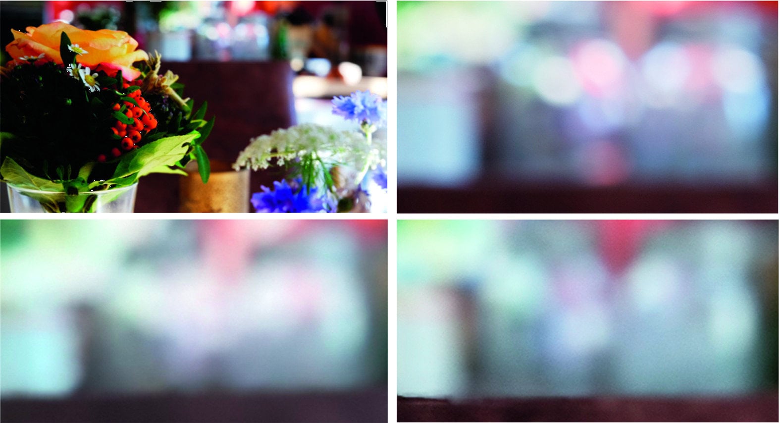 smartphone camera Bokeh iPhone X versus Google Pixel 2 XL