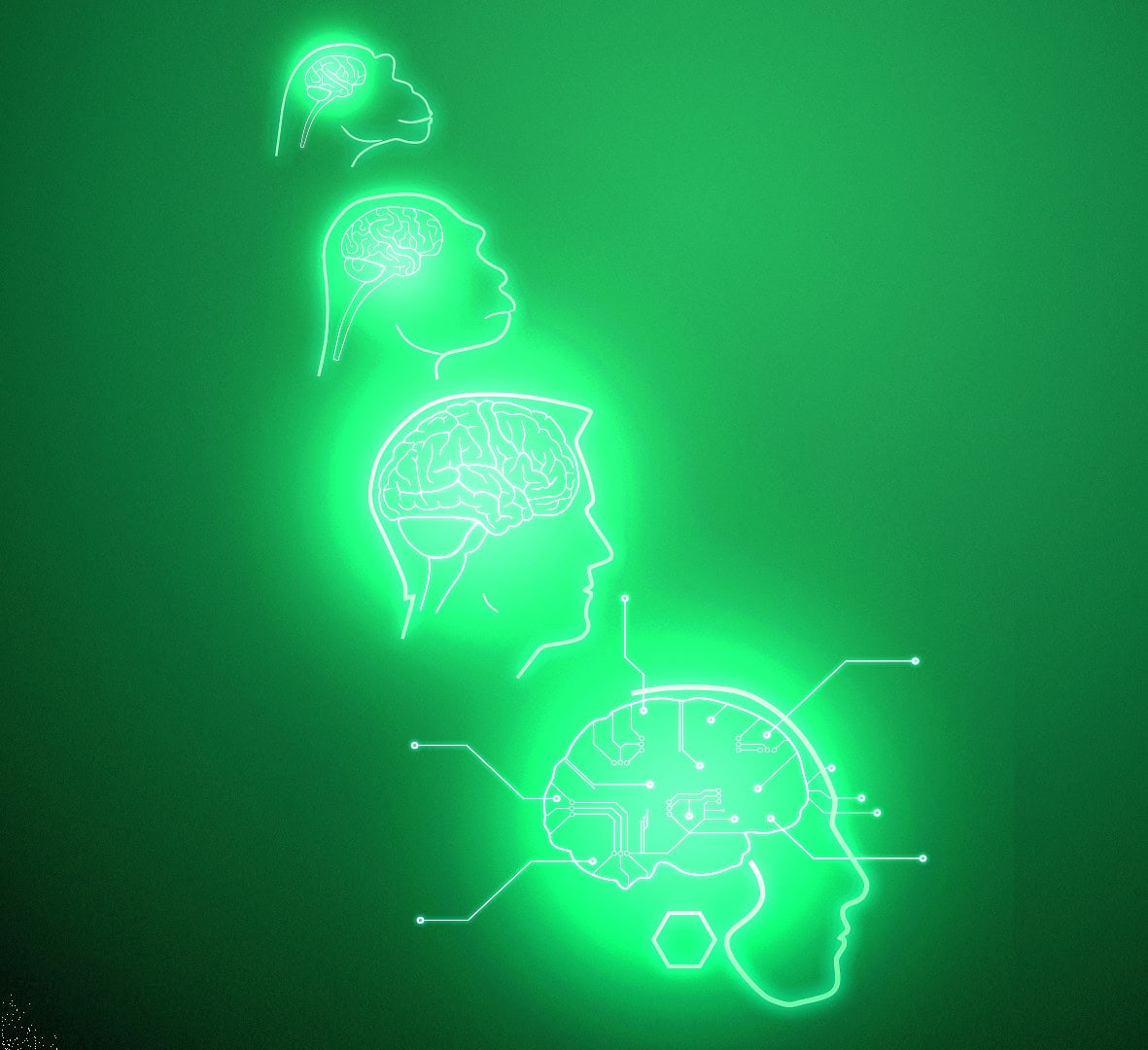 Kunstmatige intelligentie AI praktijk problemen neurale netwerken bias