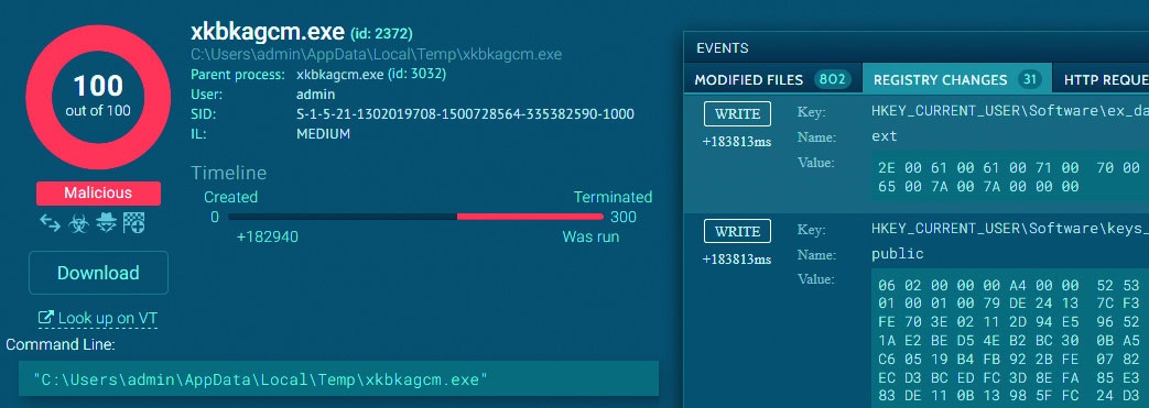 malware bekijken browser any.run veilig analyse GandCrab proces