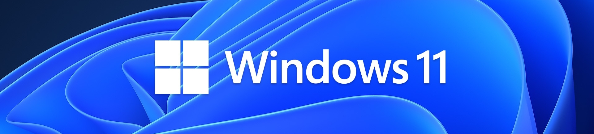 Windows 11 logo banner