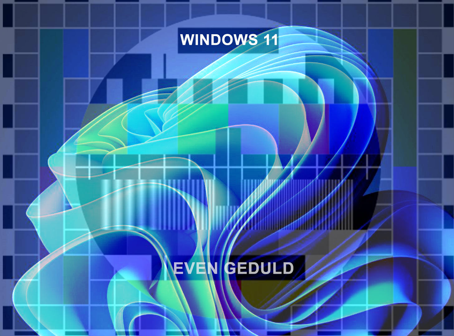 windows 11