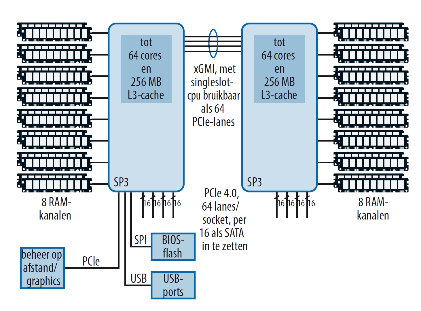 AMD Epyc 7003: dualsocket-server (vereenvoudigd)