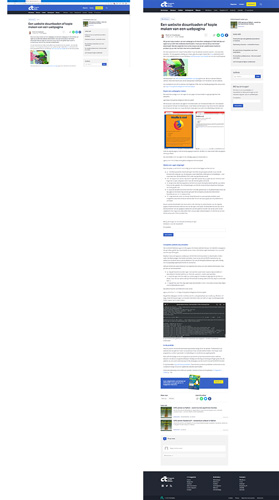 webpagina screenshot maken van hele pagina versus zichtbaar gedeelte