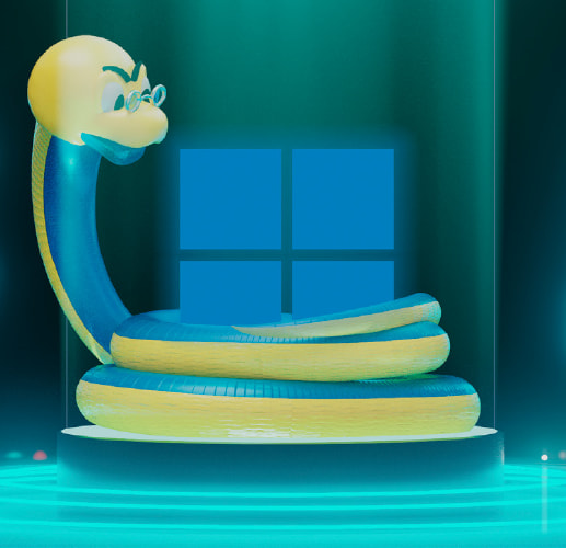 Python installeren voor Windows