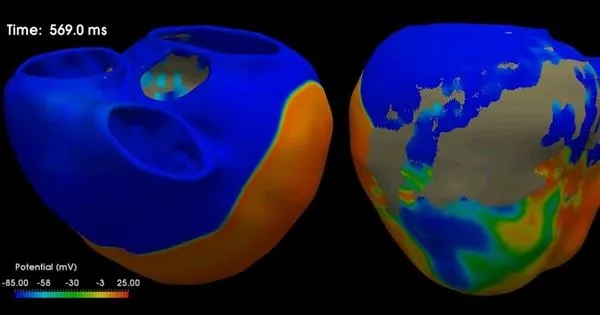 thumbnail voor Onderzoek naar cel-veroudering met machine learning
