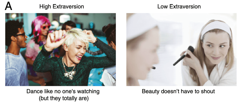digi-pro high extraversion vs low extraversion