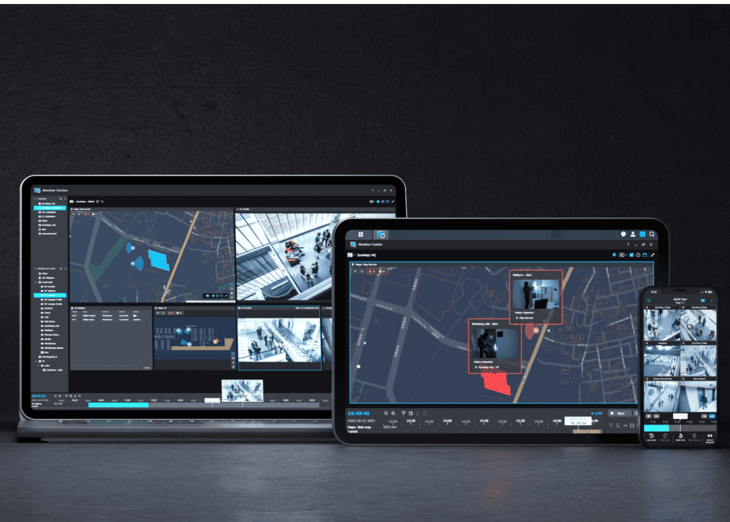 synology overview introscan
