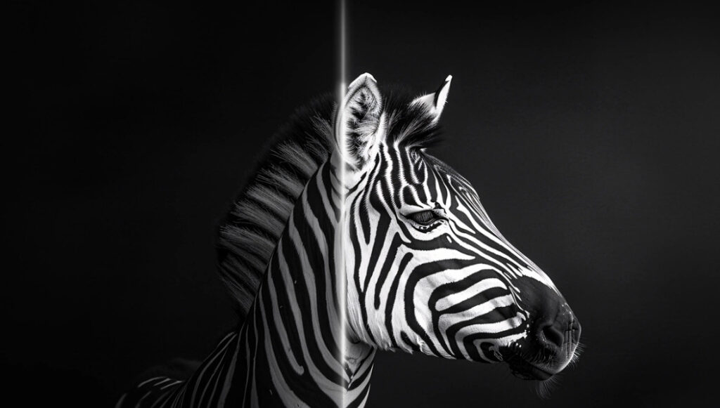 creatief werken monitor contrast