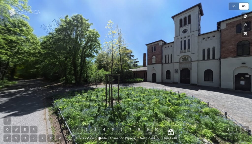 digi3d_bladeren-3d-buiten-opname-maken-Splatica-StreetView